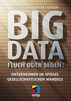 Big Data - Fluch oder Segen?. Unternehmen im Spiegel gesellschaftlichen Wandels