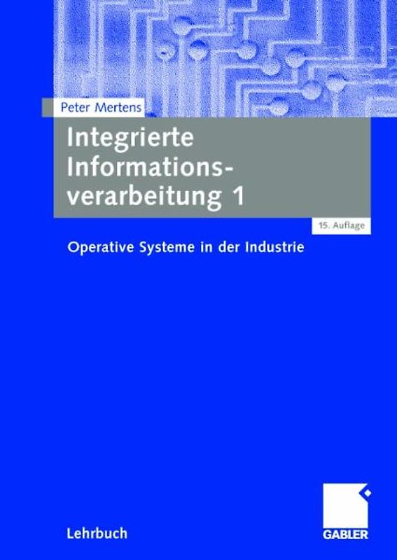 Integrierte Informationsverarbeitung 1