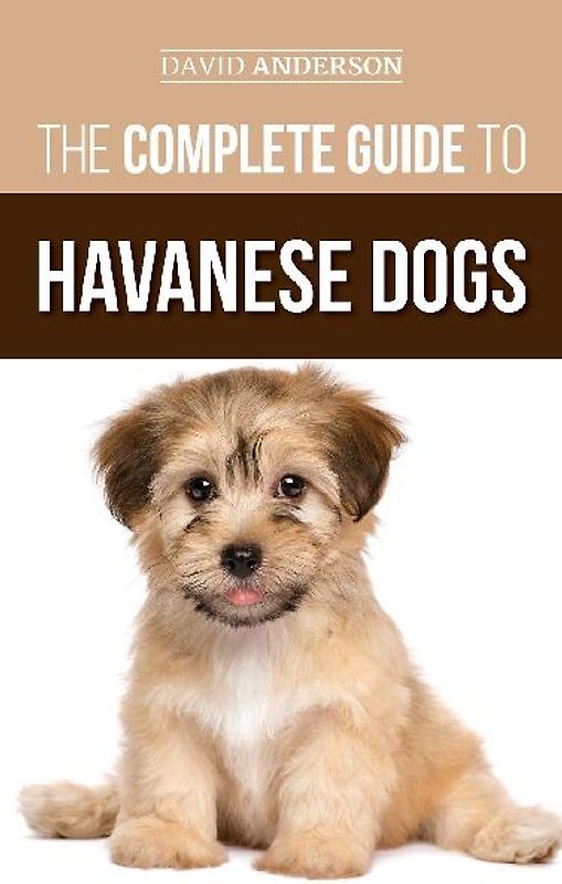 The Complete Guide to Havanese Dogs