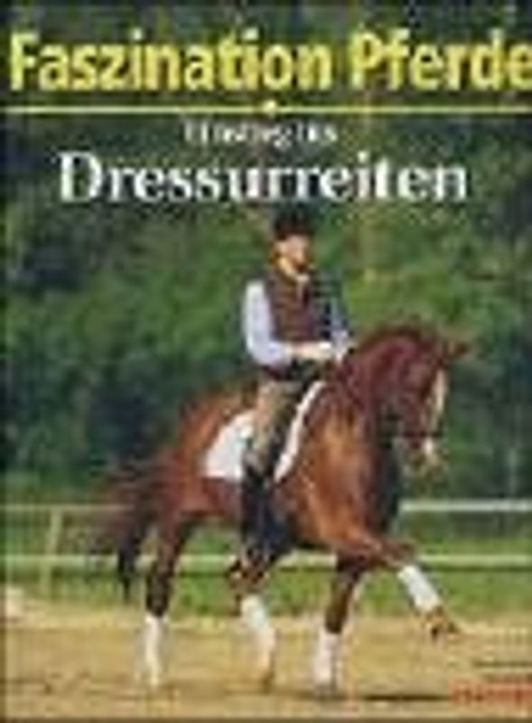 Einstieg ins Dressurreiten