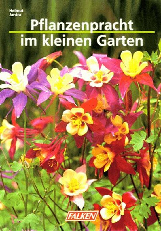 Pflanzenpracht im kleinen Garten