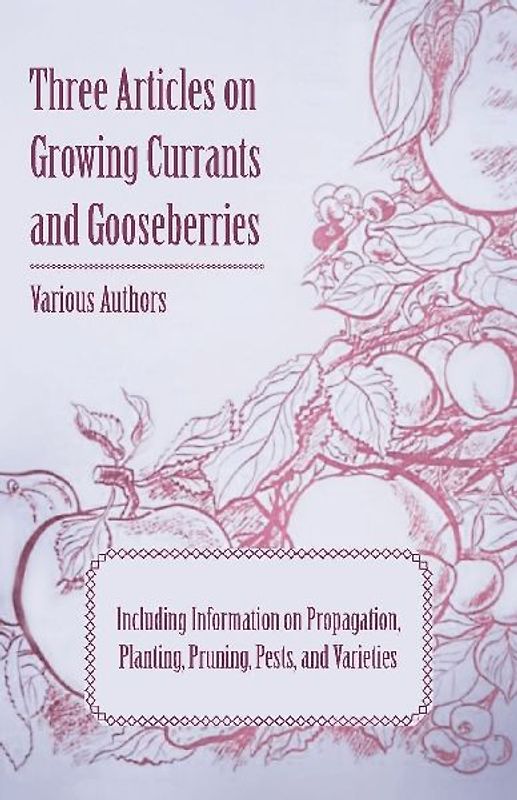 Three Articles on Growing Currants and Gooseberries - Including Information on Propagation, Planting, Pruning, Pests, Varieties