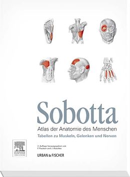 Sobotta Tabellen zu Muskeln, Gelenken und Nerven