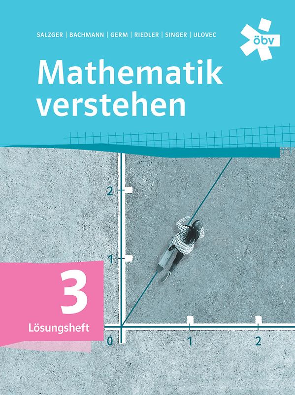 Mathematik verstehen 3, Lösungen