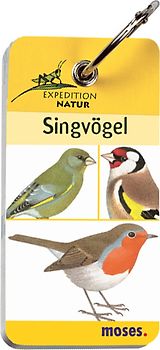 Expedition Natur - Singvögel