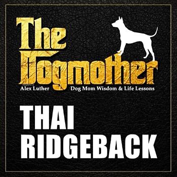The Dogmother: Thai Ridgeback: (Dog Mom Wisdom & Life Lessons)