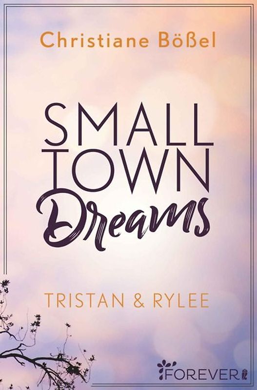 Small Town Dreams (Minot Love Story 2)