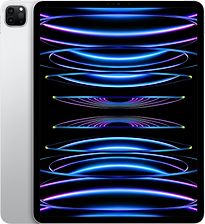 Apple iPad Pro 12,9 512GB [wifi, model 2022] zilver - refurbished