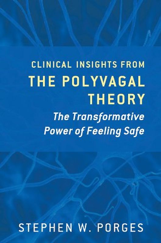 Clinical Insights from the Polyvagal Theory: The Transformative Power of Feeling Safe (Norton Series on Interpersonal Neurobiology) - Porges, Stephen W.
