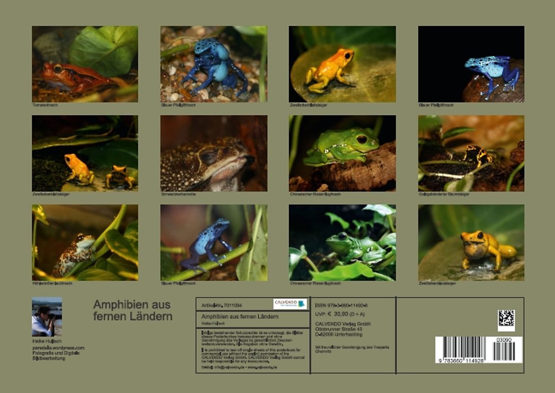 Amphibien aus fernen Ländern (Posterbuch DIN A3 quer)