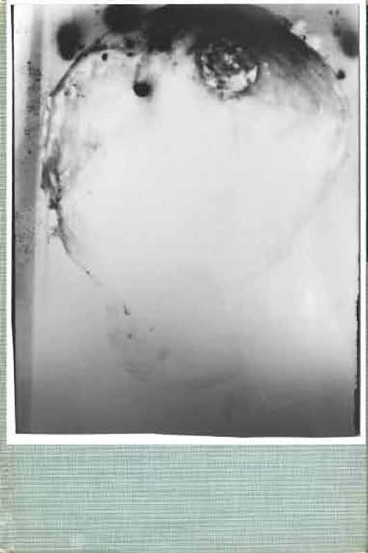 Peter Buggenhout presents Moby Dick