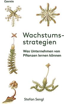 Wachstumsstrategien