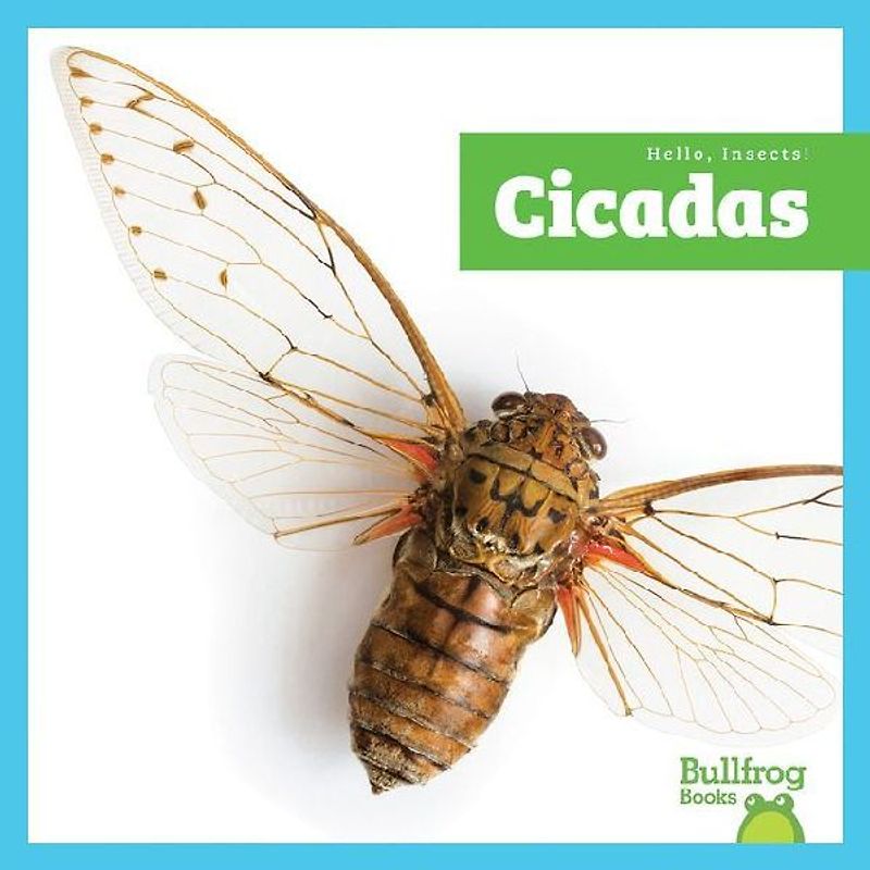 Cicadas