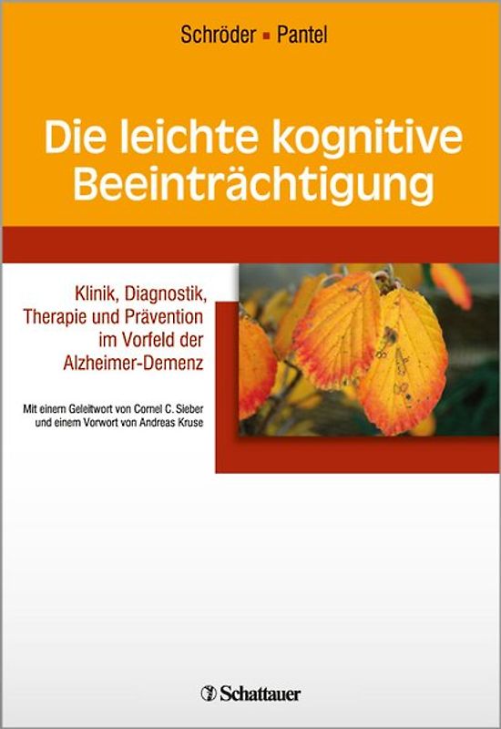 Die leichte kognitive Beeintraechtigung