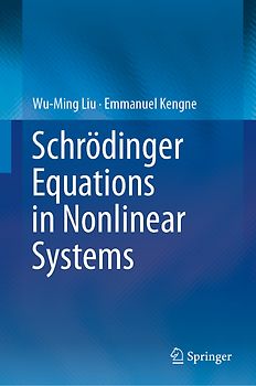 Schrödinger Equations in Nonlinear Systems