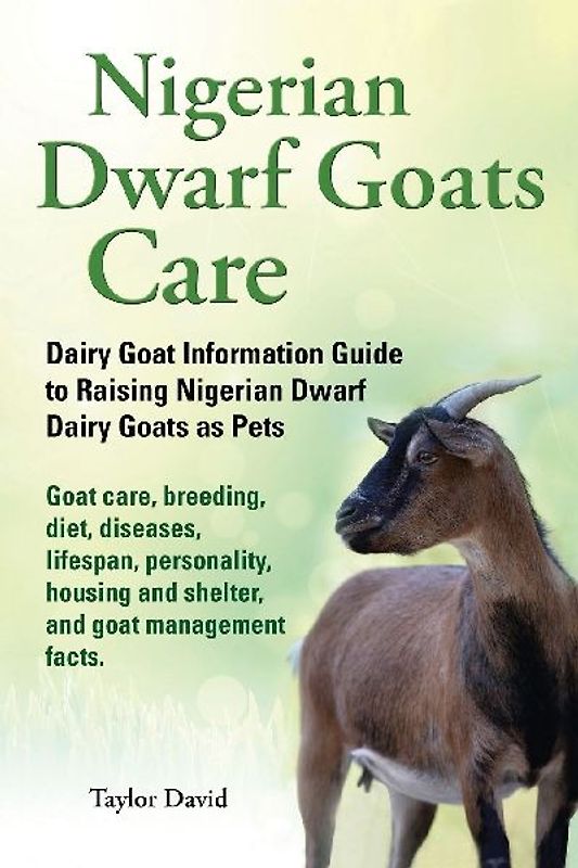 Nigerian Dwarf Goats Care: Dairy Goat Information Guide to Raising Nigerian Dwarf Dairy Goats as Pets