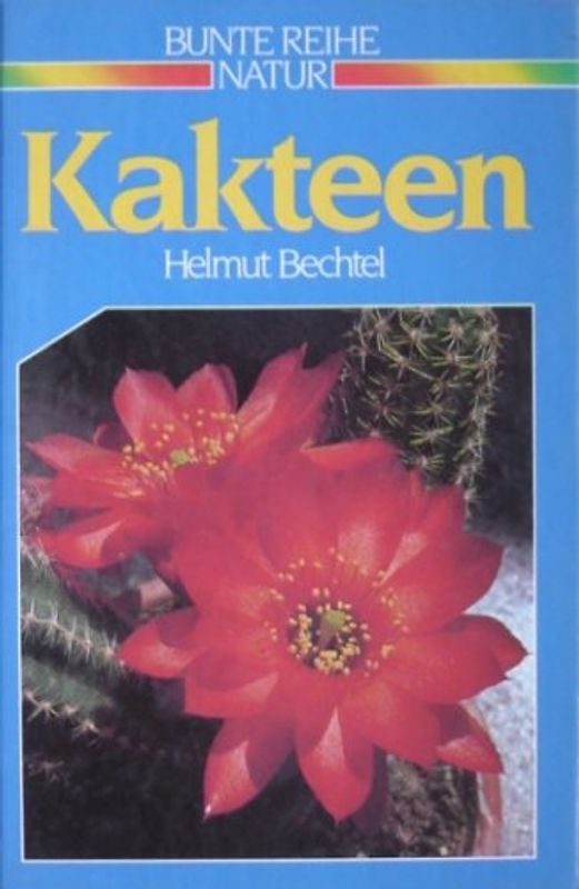 Kakteen
