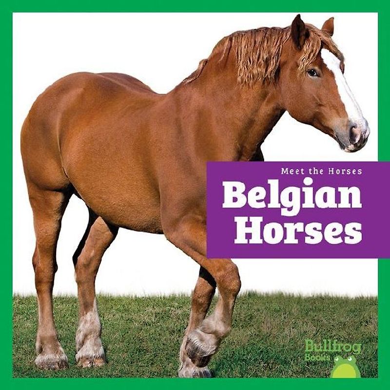 Belgian Horses