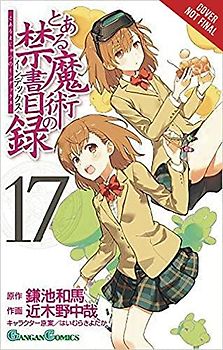 A Certain Magical Index, Vol. 17 (manga)