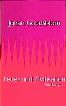 Feuer und Zivilisation