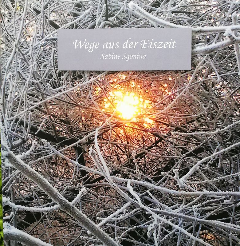 Wege aus der Eiszeit