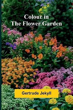 Colour In The Flower Garden