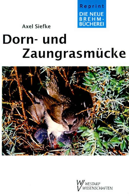 Dorn- und Zaungrasmücke