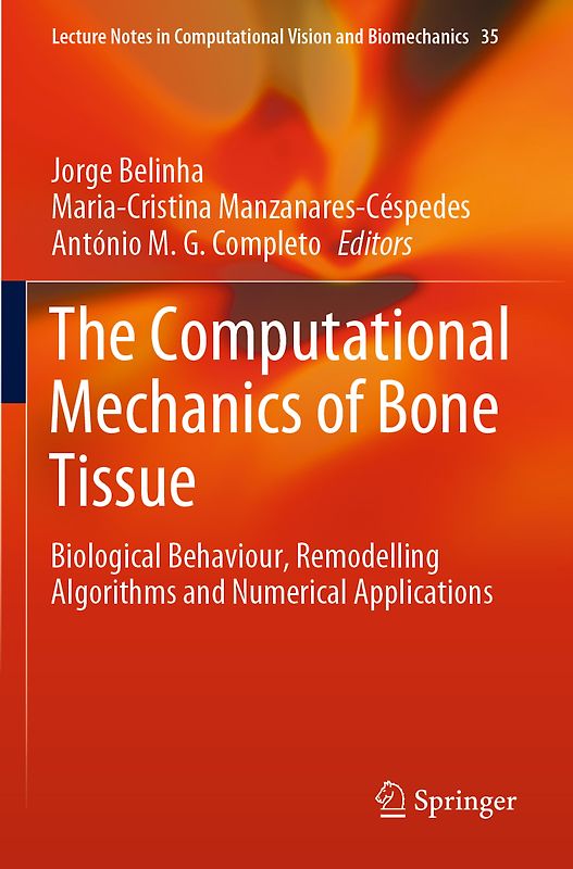 The Computational Mechanics of Bone Tissue