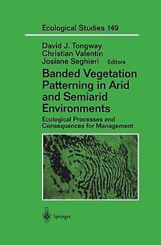 Banded Vegetation Patterning in Arid and Semiarid Environments