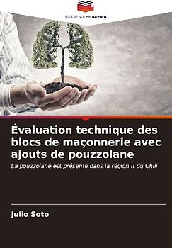 Évaluation technique des blocs de maçonnerie avec ajouts de pouzzolane