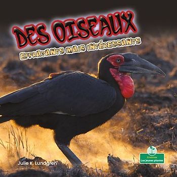 Des Oiseaux Effrayants Mais Intéressants (Creepy But Cool Birds)