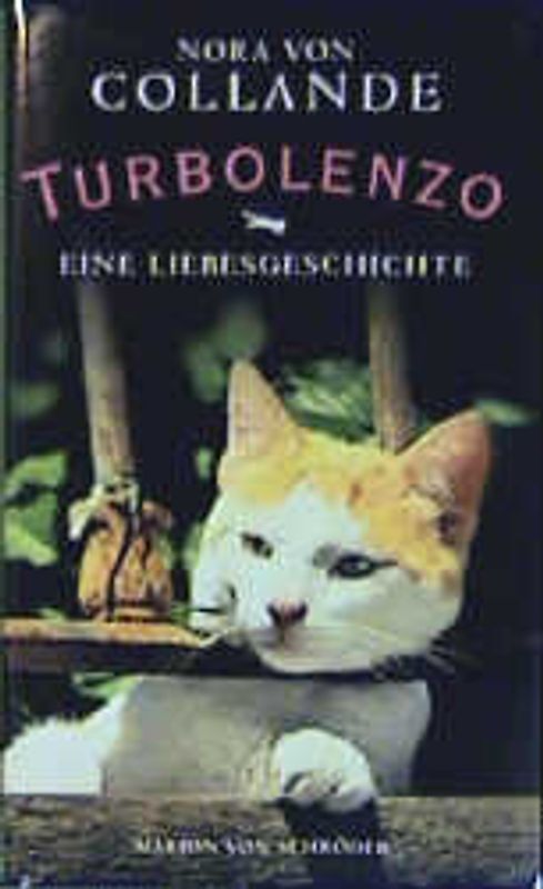 Turbolenzo