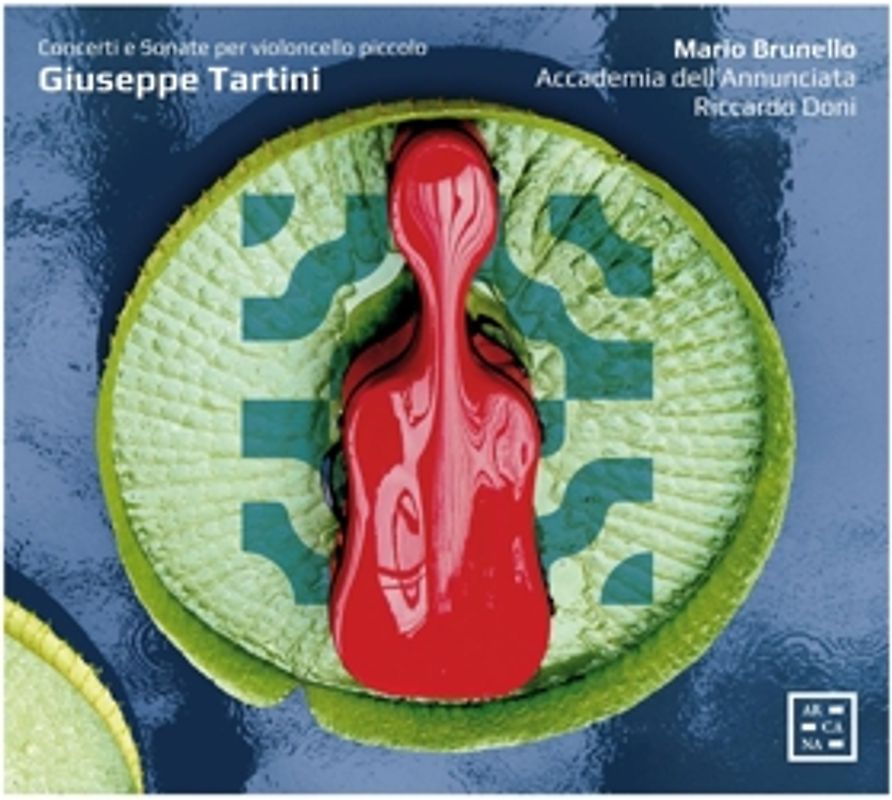Concerti e Sonate per Violoncello piccolo