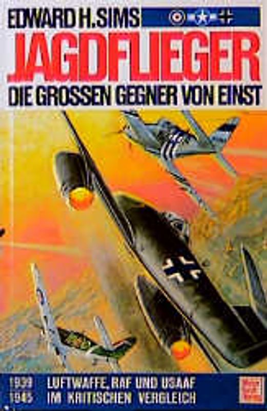 Jagdflieger - Die grossen Gegner von einst. Luftwaffe, RAF und USAAF im kritischen Vergleich 1939-1945