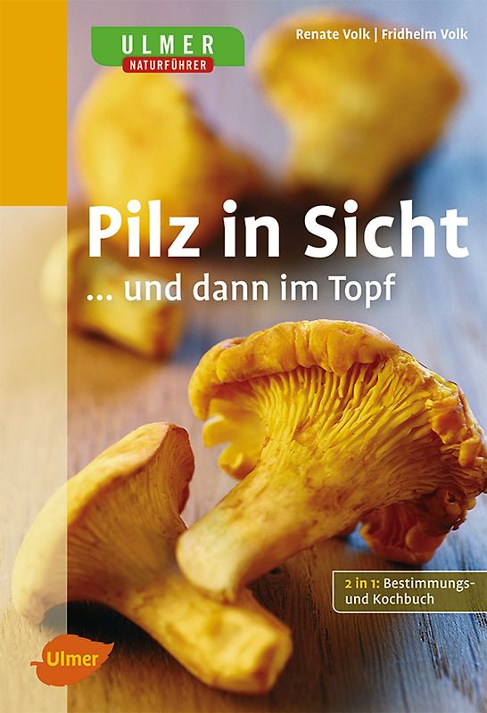 Pilz in Sicht ... und dann im Topf
