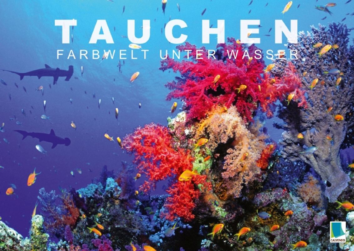 Tauchen: Farbwelt unter Wasser (Posterbuch DIN A2 quer)
