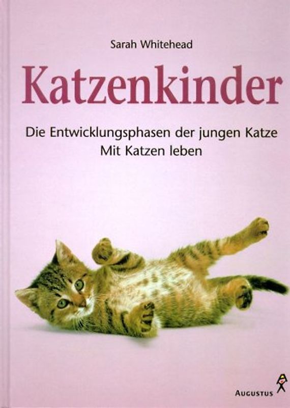 Katzenkinder