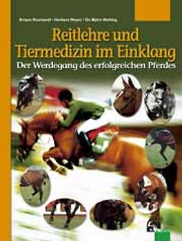 Reitlehre und Tiermedizin im Einklang