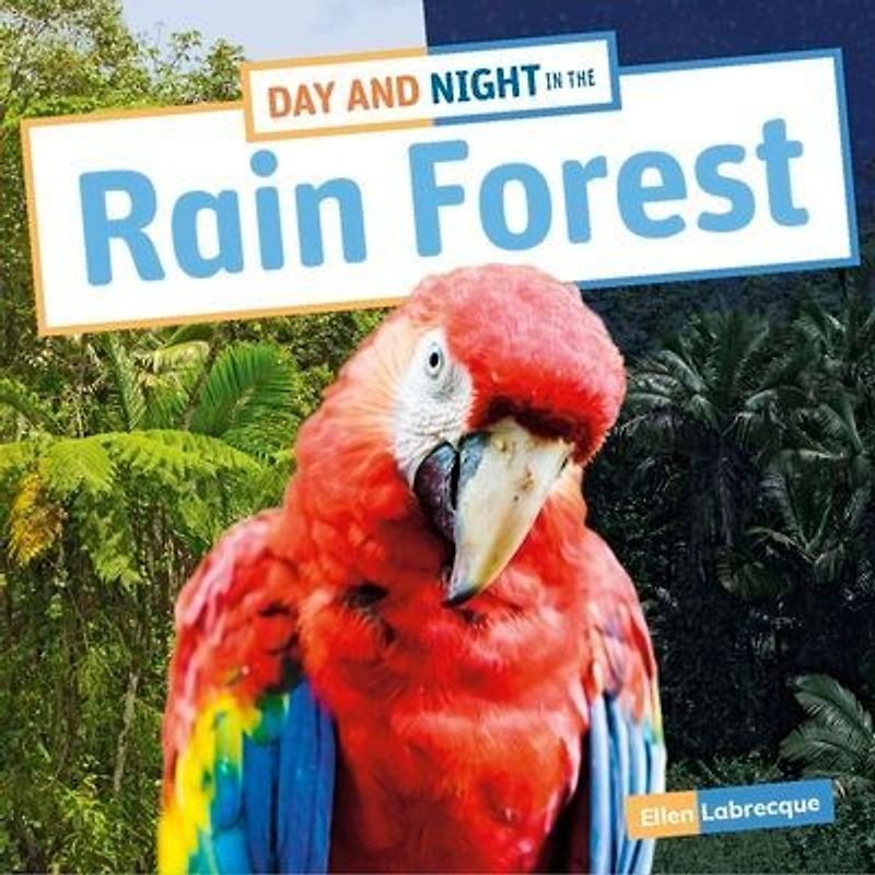 Day and Night in the Rain Forest