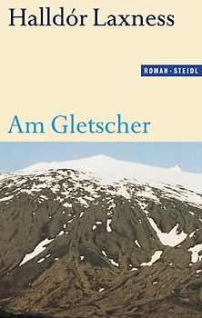 Am Gletscher