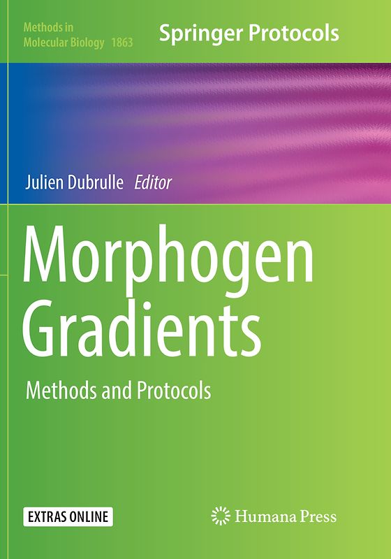 Morphogen Gradients
