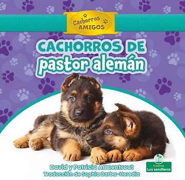 Cachorros de Pastor Alemán (German Shepherd Puppies)