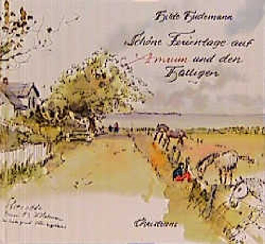 Schöne Ferientage auf Amrum und den Halligen