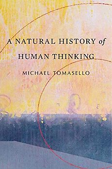 A Natural History of Human Thinking