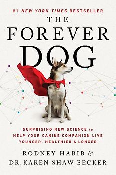 The Forever Dog