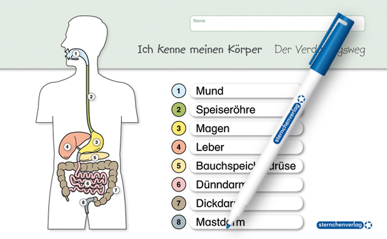 Ich kenne meinen Körper - Der Verdauungsweg