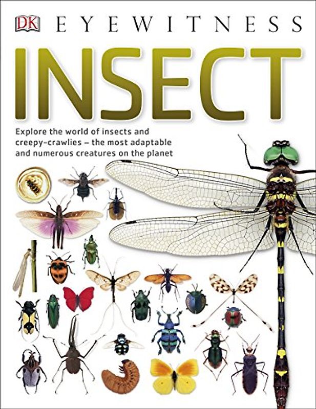 Insect: Explore the world of insects and creepy-crawlies – the most adaptable and numerous creatures on the planet (DK Eyewitness)