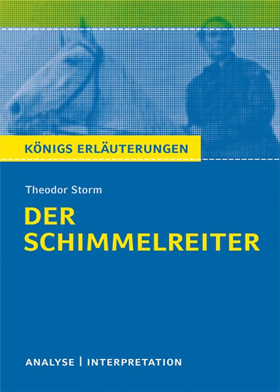 Der Schimmelreiter von Theodor Storm