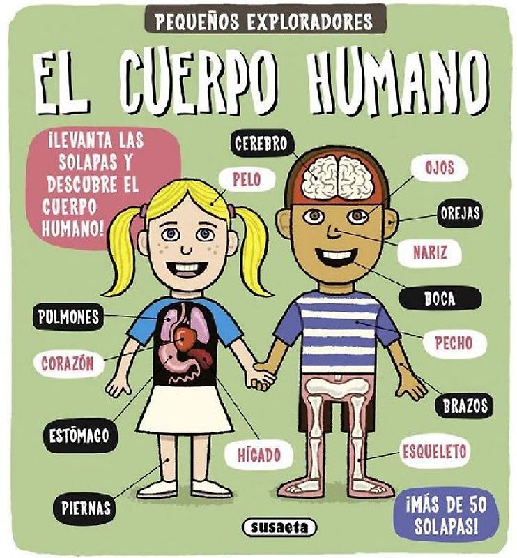 El cuerpo humano