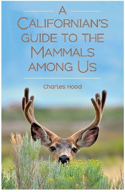 A Californian's Guide to the Mammals Among Us